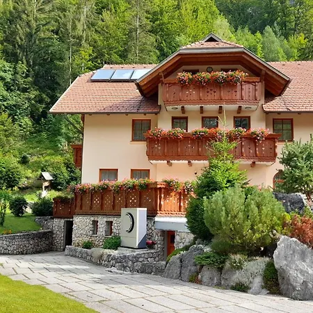 Apartma In Jezerci
