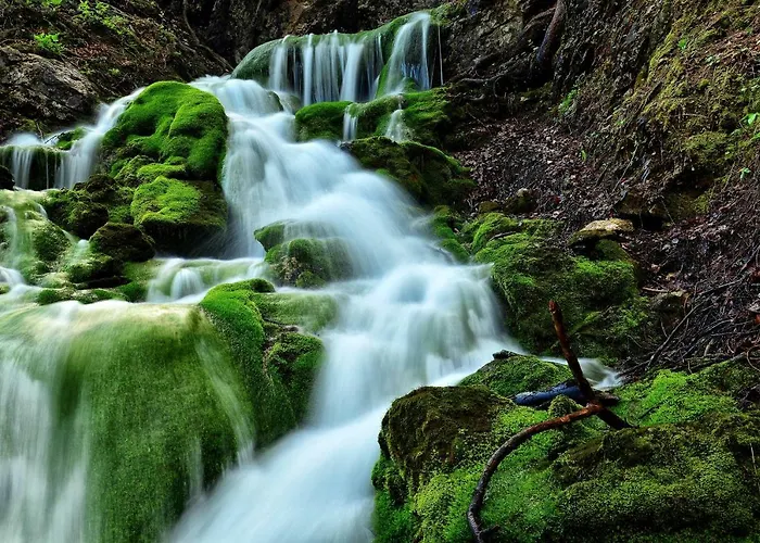 Apartma In Jezerci * Gozd Martuljek